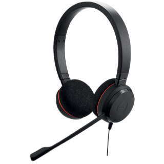 Jabra Evolve 20